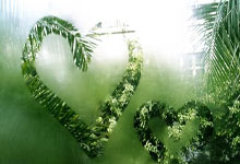 悟空游戏厅怎么样，值得下载吗？